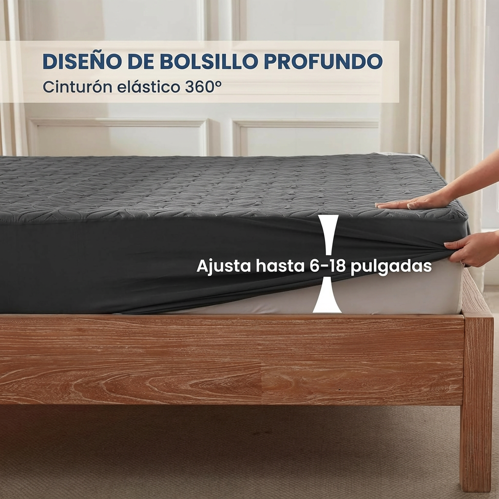Encabezado